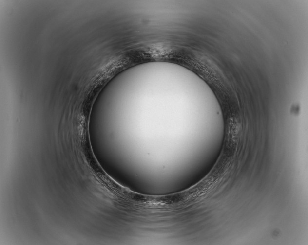 X0000097980650200804071126