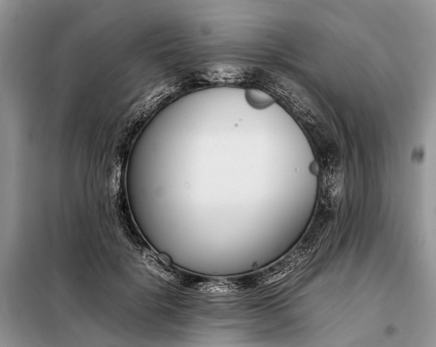 X0000097980652200804071126