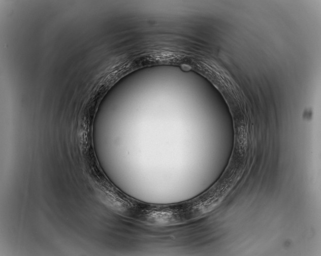 X0000097980653200804071126