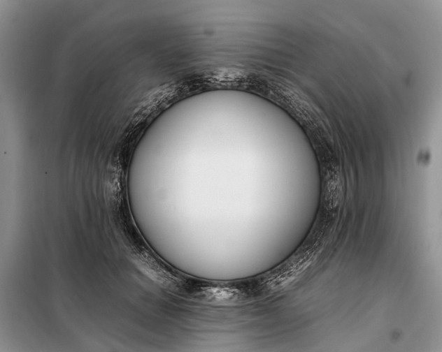 X0000097980654200804071126
