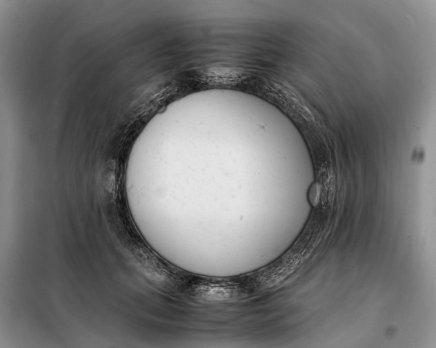 X0000097980655200804071126
