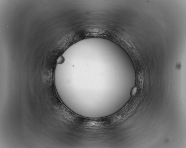 X0000097980657200804071126