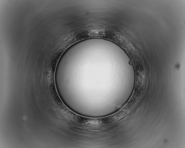 X0000097980659200804071126