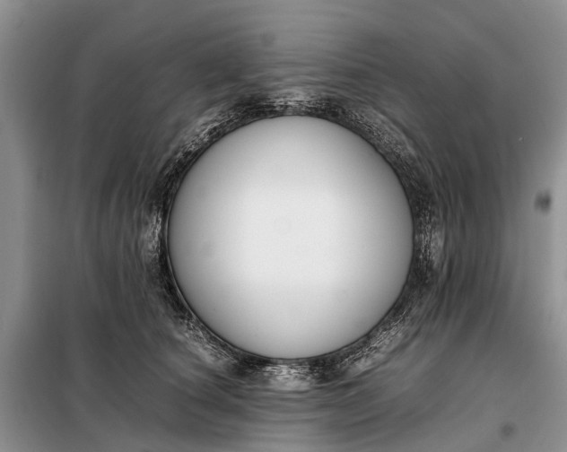 X0000097980660200804071126