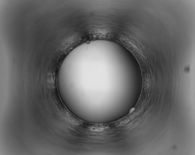 X0000097980661200804071126