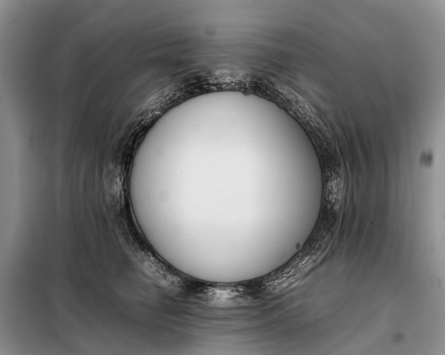 X0000097980662200804071126