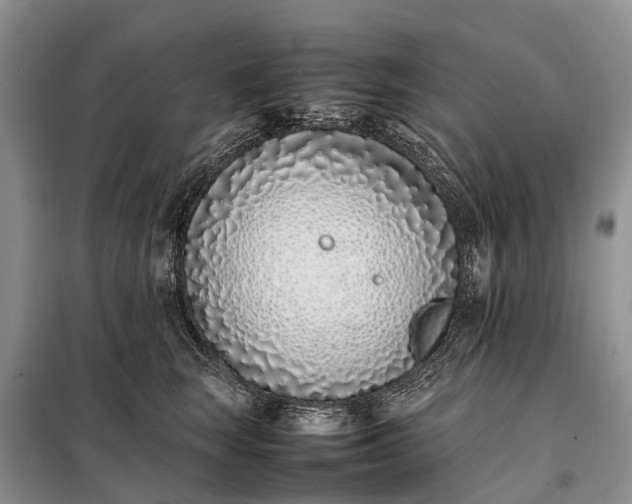 X0000097980663200804071126