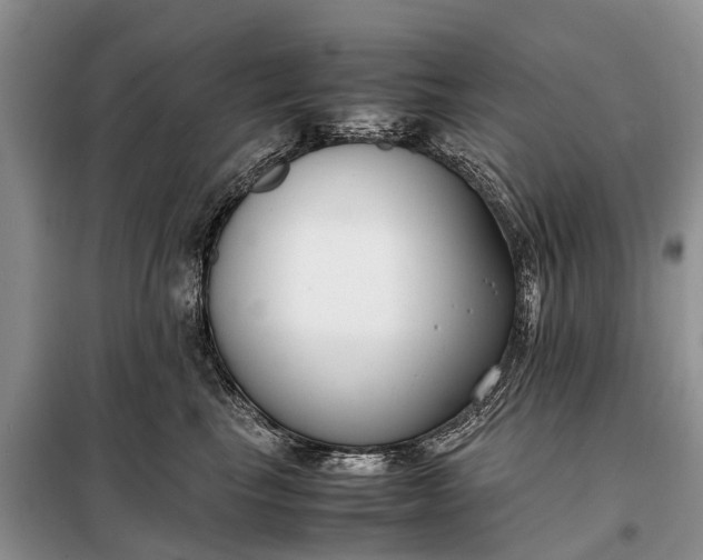 X0000097980665200804071126