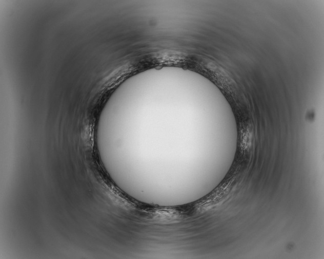 X0000097980666200804071126