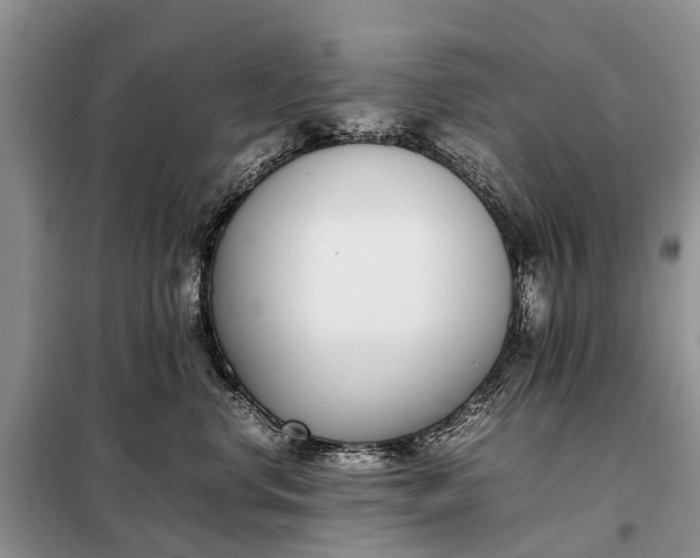 X0000097980668200804071126