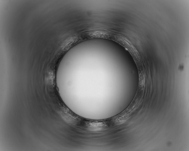 X0000097980669200804071126