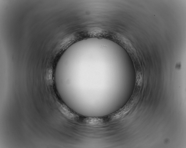 X0000097980670200804071126