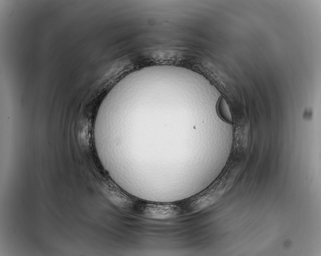 X0000097980671200804071126