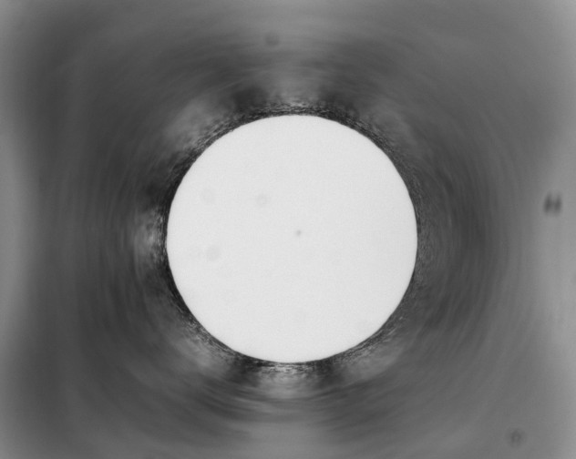 X0000097980672200804071126