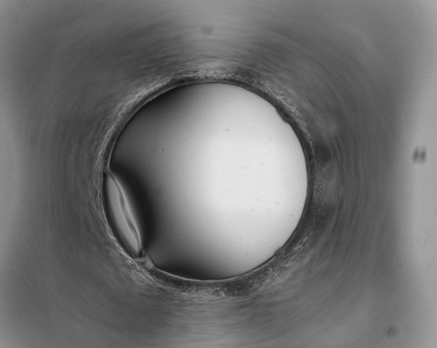 X0000097980673200804071125