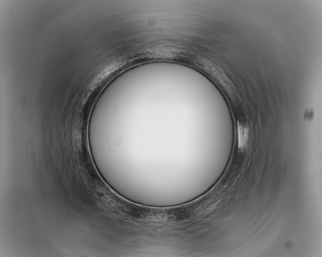 X0000097980675200804071125