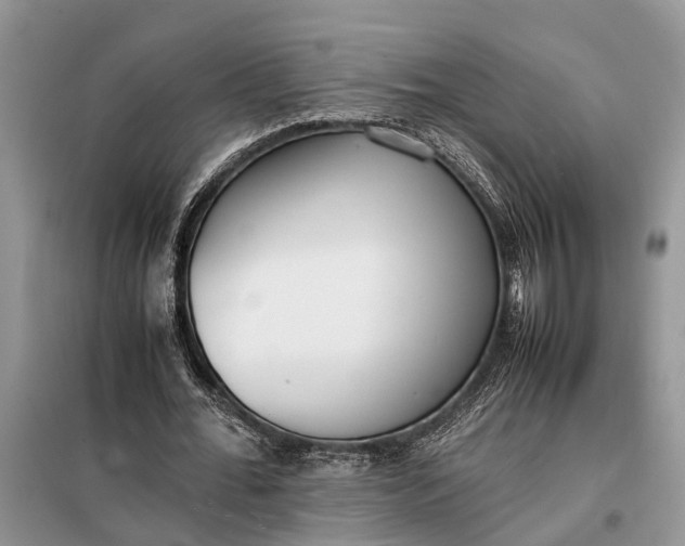 X0000097980676200804071125