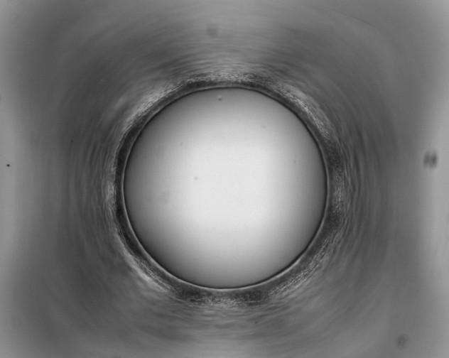 X0000097980677200804071125