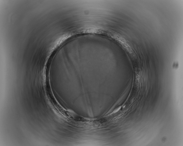X0000097980678200804071125