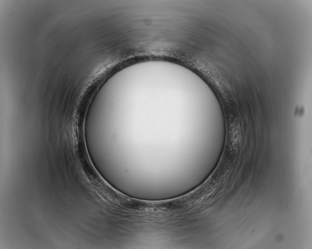 X0000097980680200804071125
