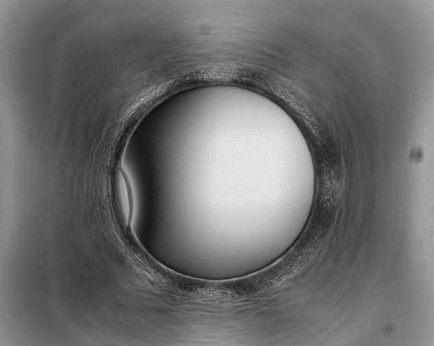 X0000097980681200804071125