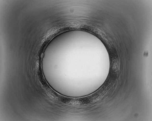 X0000097980685200804071125