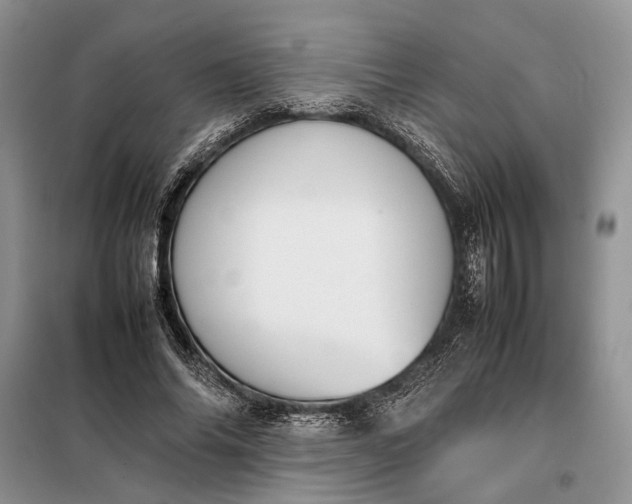 X0000097980686200804071125