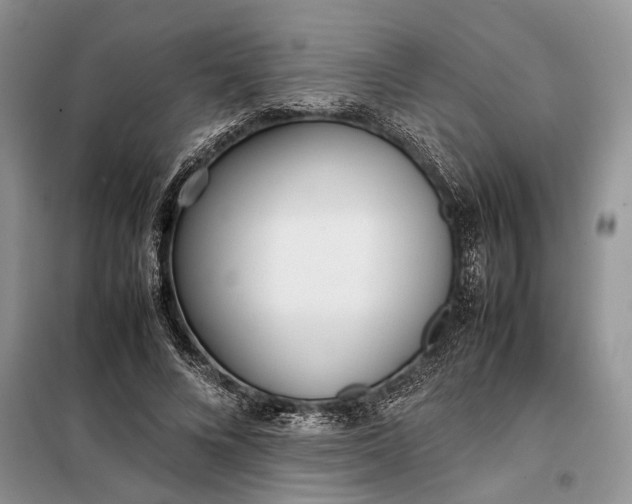 X0000097980688200804071125