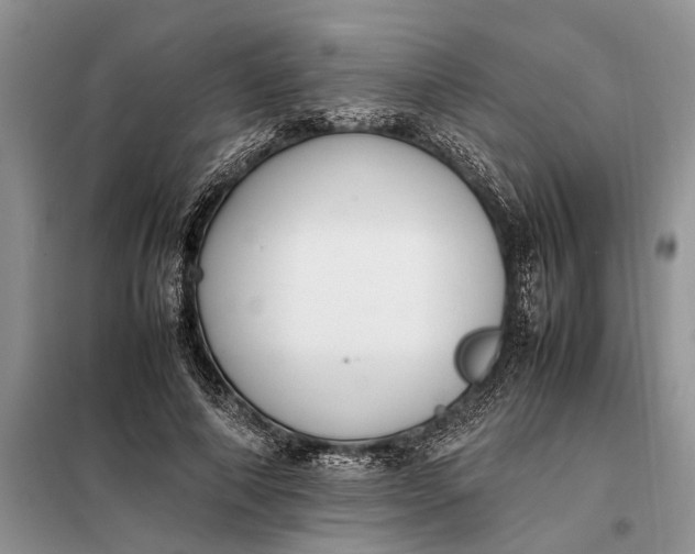 X0000097980690200804071125