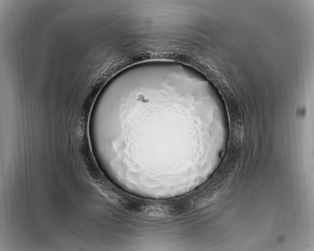 X0000097980691200804071125