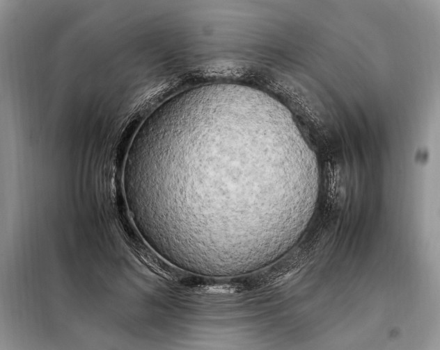 X0000097980692200804071125