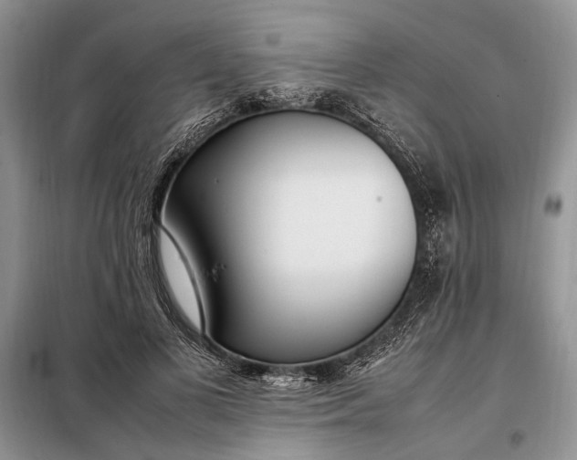X0000097980693200804071125