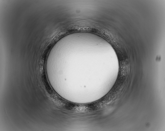 X0000097980695200804071125