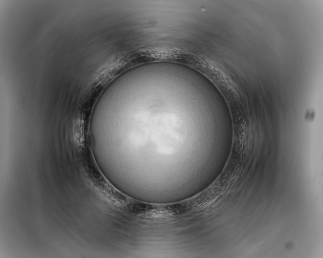X0000097980696200804071125