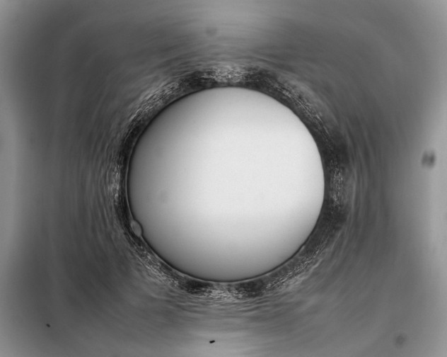 X0000097980697200804071125