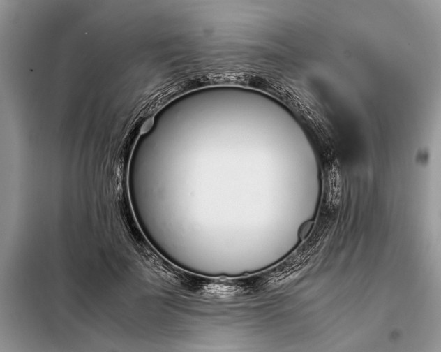 X0000097980699200804071125