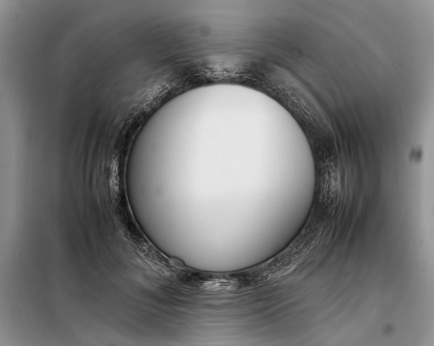 X0000097980700200804071125