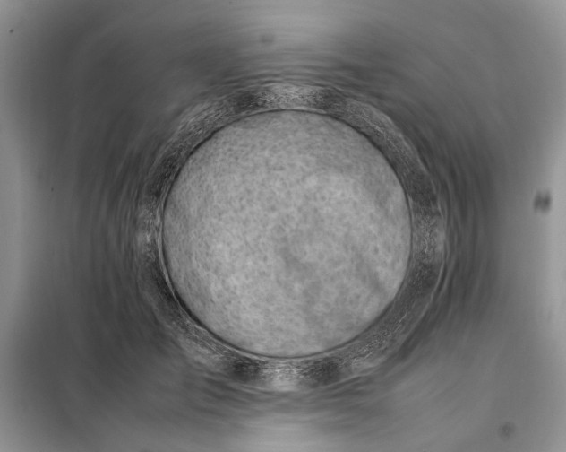 X0000097980701200804071125