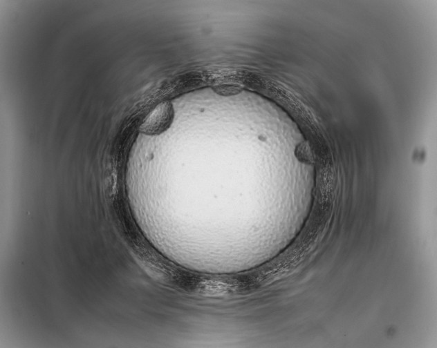X0000097980703200804071125