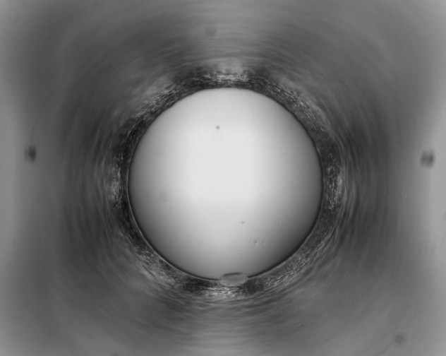 X0000097980704200804071125