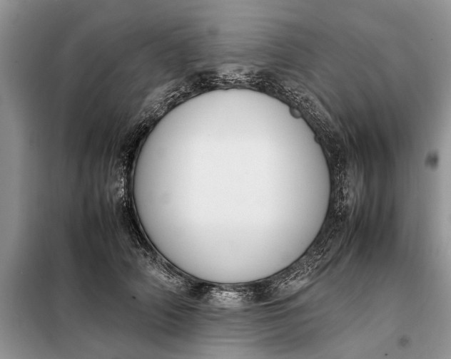 X0000097980706200804071125