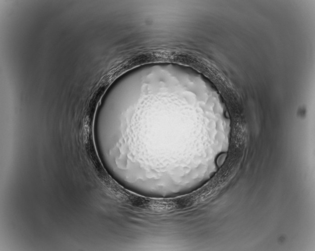 X0000097980707200804071125