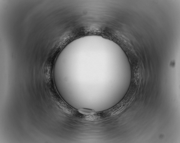 X0000097980708200804071125