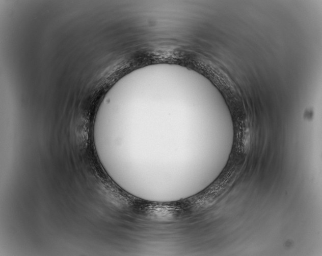 X0000097980710200804071125