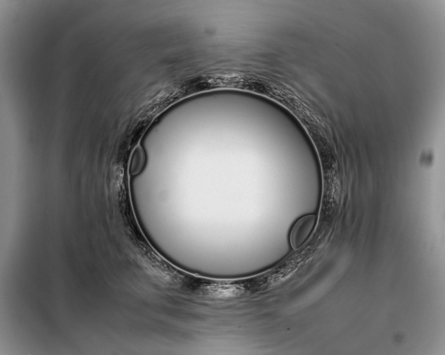X0000097980711200804071125