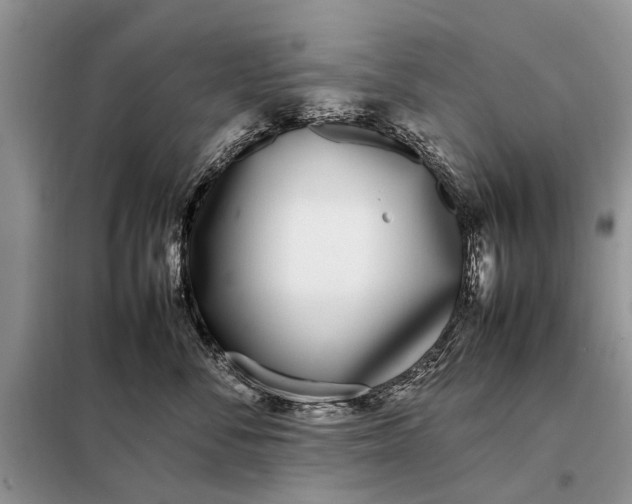 X0000097980716200804071125