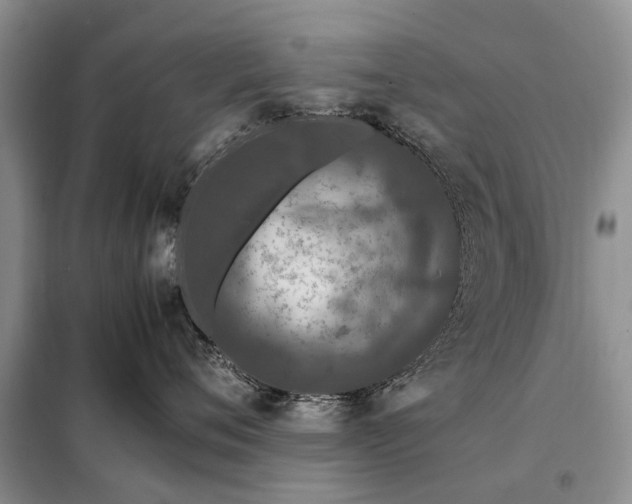 X0000097980720200804071125
