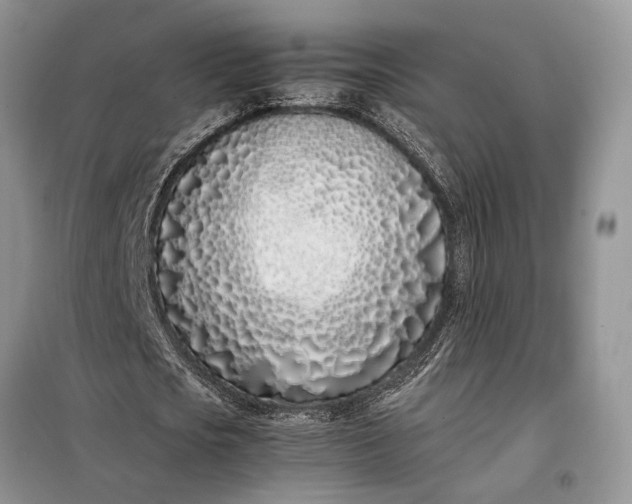 X0000097980721200804071124