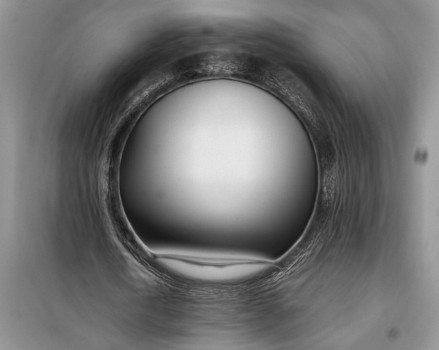 X0000097980722200804071124