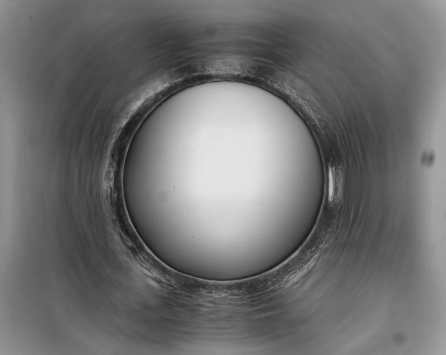 X0000097980723200804071124